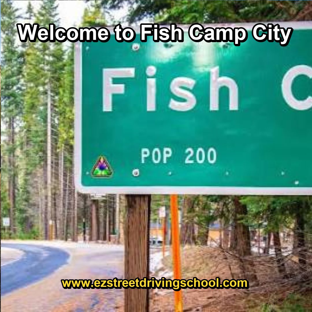 Driving Lessons in Fish Camp